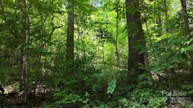 00 Serendipity Ln Unit 111, Waynesville, NC 28785