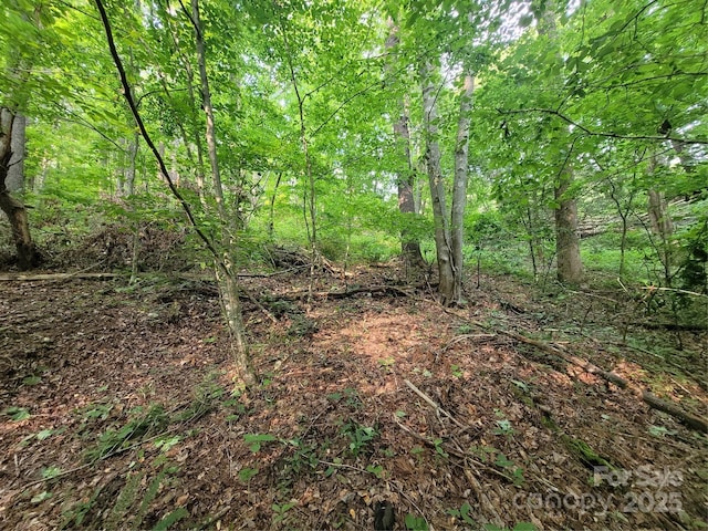 00 Serendipity Ln Unit 111, Waynesville, NC 28785