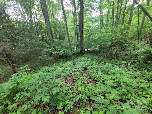 00 Serendipity Ln Unit 111, Waynesville, NC 28785