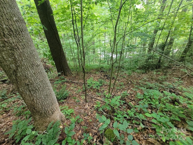 00 Serendipity Ln Unit 111, Waynesville, NC 28785