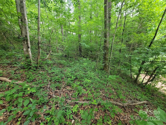 00 Serendipity Ln Unit 111, Waynesville, NC 28785