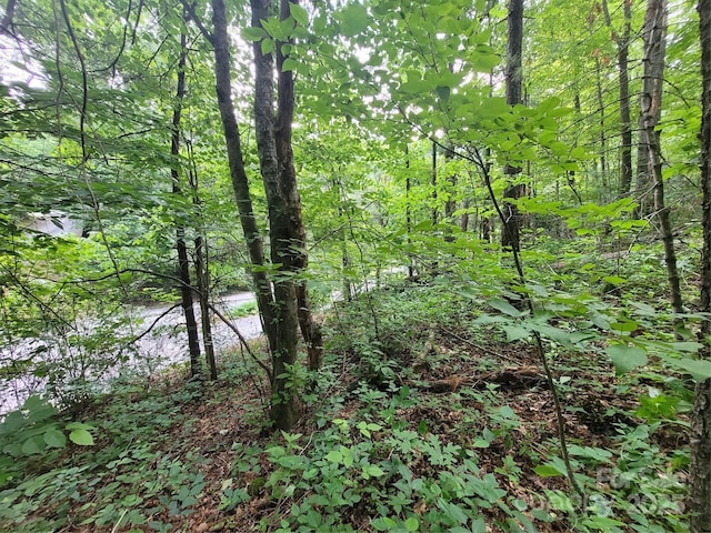 00 Serendipity Ln Unit 111, Waynesville, NC 28785