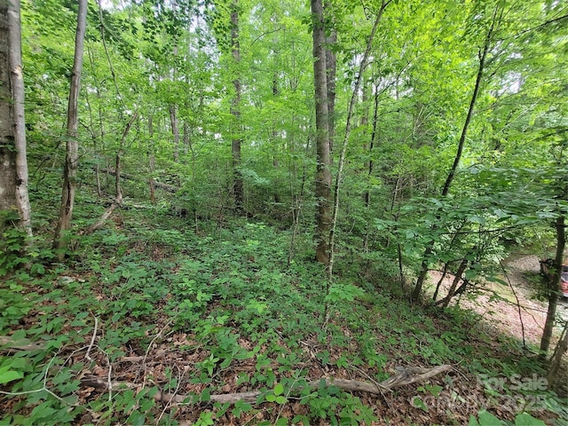 00 Serendipity Ln Unit 111, Waynesville, NC 28785