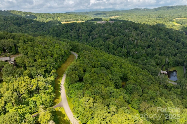 TBDLOT124 Firethorn Trl Unit 124, Blowing Rock, NC 28605 - photo 5