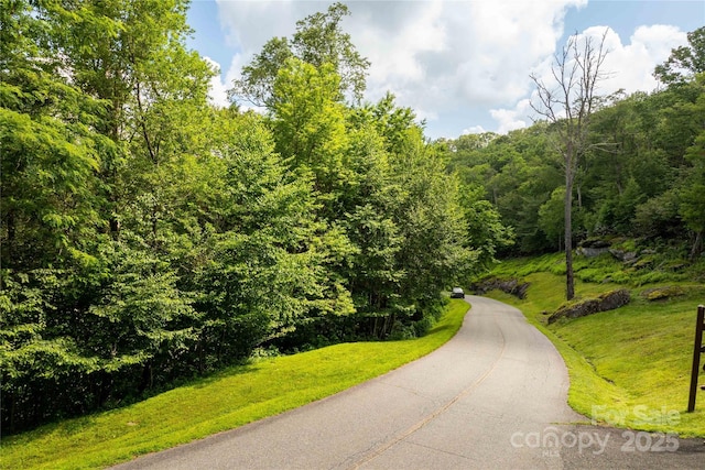 TBDLOT124 Firethorn Trl Unit 124, Blowing Rock, NC 28605 - photo 1