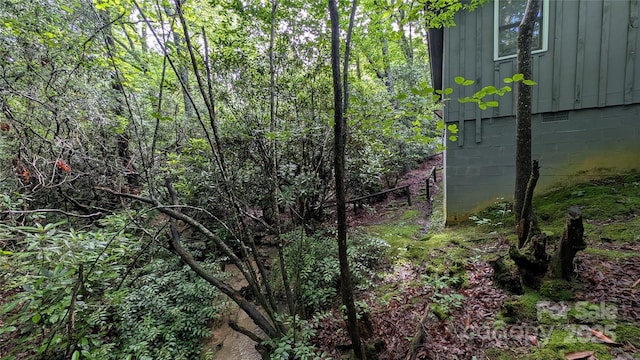 242 Upper Whitewater Rd, Sapphire, NC 28774 - view of nature