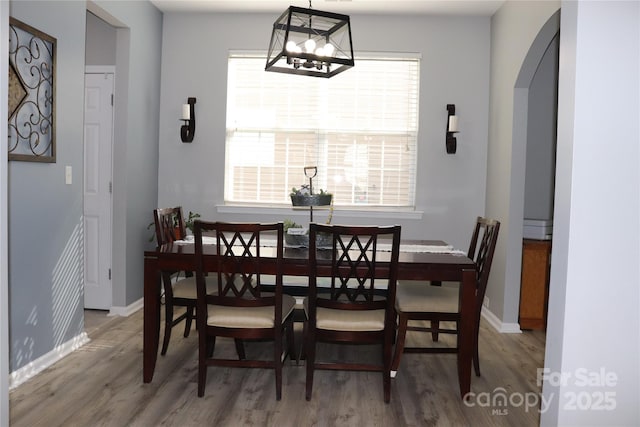 3092 S Legacy Park Blvd, Fort Mill, SC 29707 - dining room with wood finished floors, a chandelier, and healthy amount of natural light