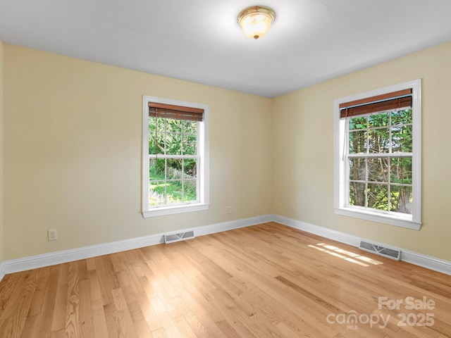 44 5th Ave, Asheville, NC 28806 - spare room featuring light wood-type flooring and healthy amount of natural light