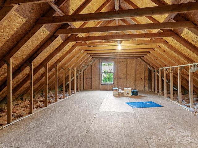 44 5th Ave, Asheville, NC 28806 - view of attic