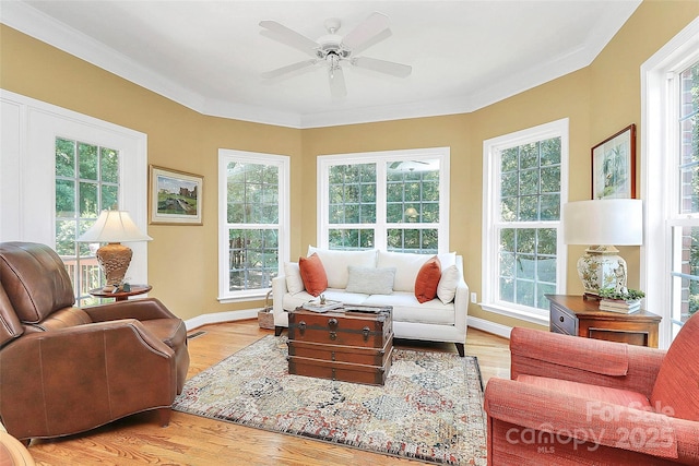 13824 Glen Abbey Dr, Charlotte, NC 28278 - living room with ornamental molding, light wood finished floors, and a ceiling fan