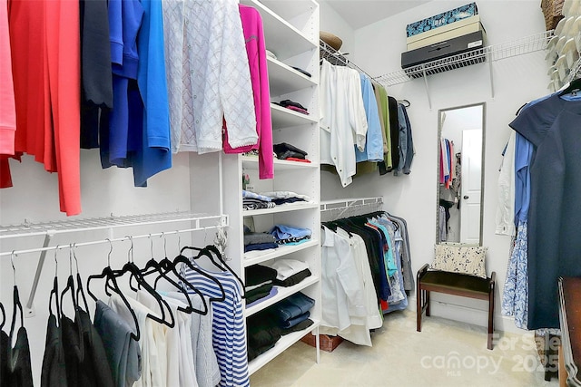 13824 Glen Abbey Dr, Charlotte, NC 28278 - walk in closet featuring carpet