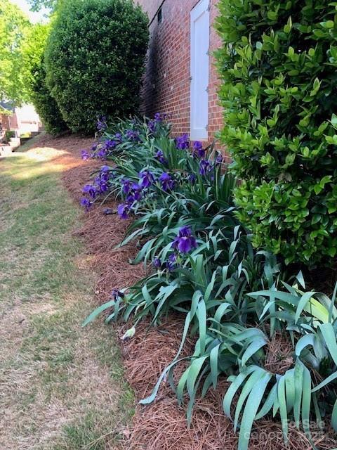 13824 Glen Abbey Dr, Charlotte, NC 28278 - view of yard