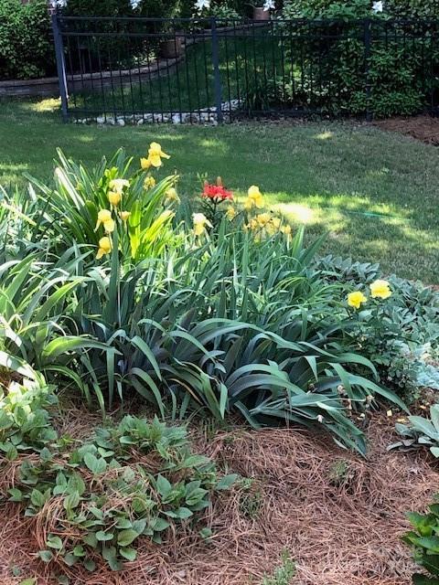 13824 Glen Abbey Dr, Charlotte, NC 28278 - view of yard