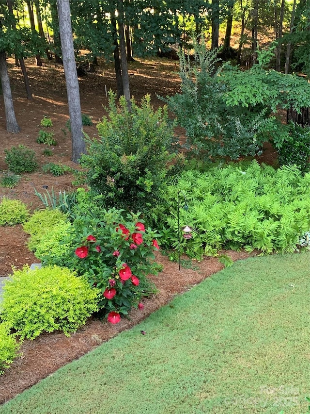 13824 Glen Abbey Dr, Charlotte, NC 28278 - view of yard