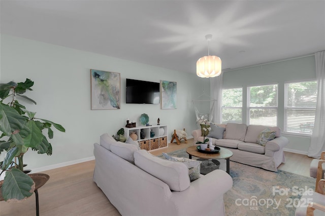 2926 Royal Fern Ln, Charlotte, NC 28215 - living room featuring wood finished floors