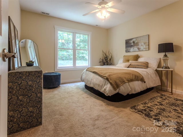 29 Kaylor Dr, Arden, NC 28704 - bedroom featuring carpet floors and a ceiling fan