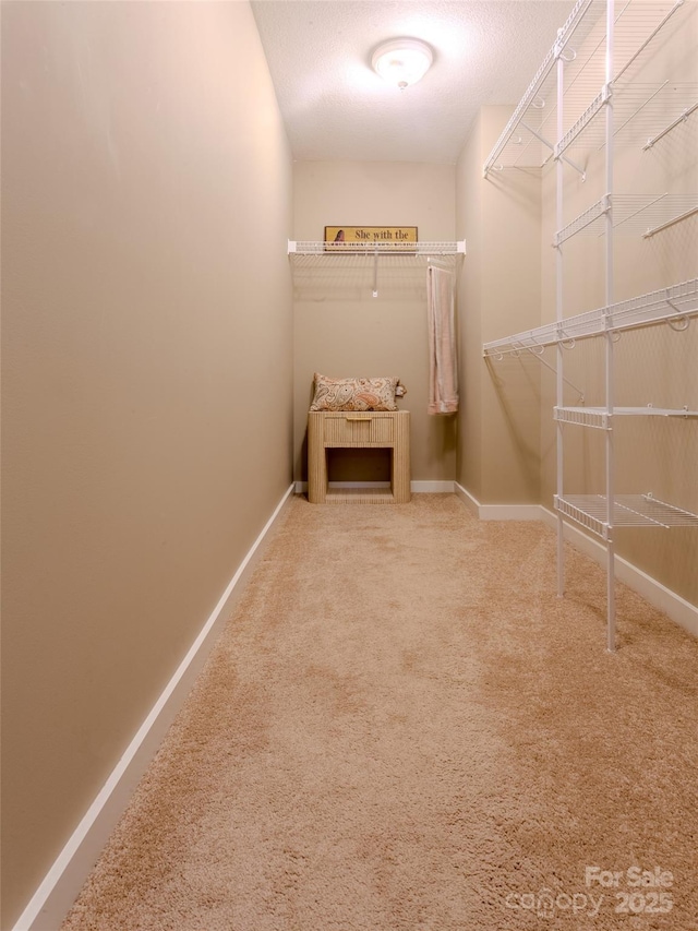 29 Kaylor Dr, Arden, NC 28704 - spacious closet with carpet floors