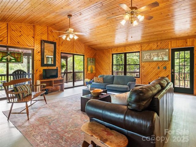170 Mountain Farm Rd, Burnsville, NC 28714 - photo 3