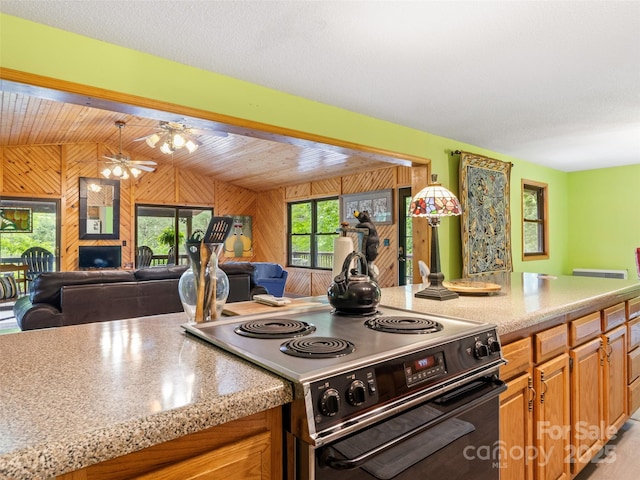 170 Mountain Farm Rd, Burnsville, NC 28714 - photo 11