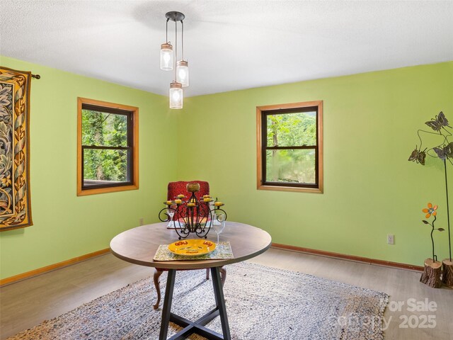 170 Mountain Farm Rd, Burnsville, NC 28714 - photo 13