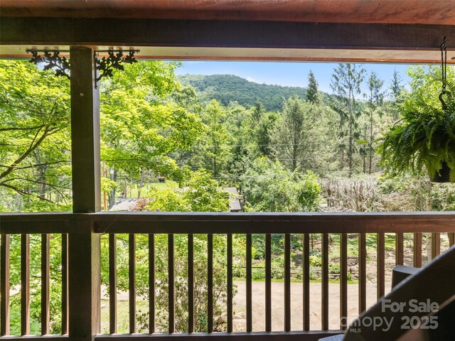 170 Mountain Farm Rd, Burnsville, NC 28714 - photo 27