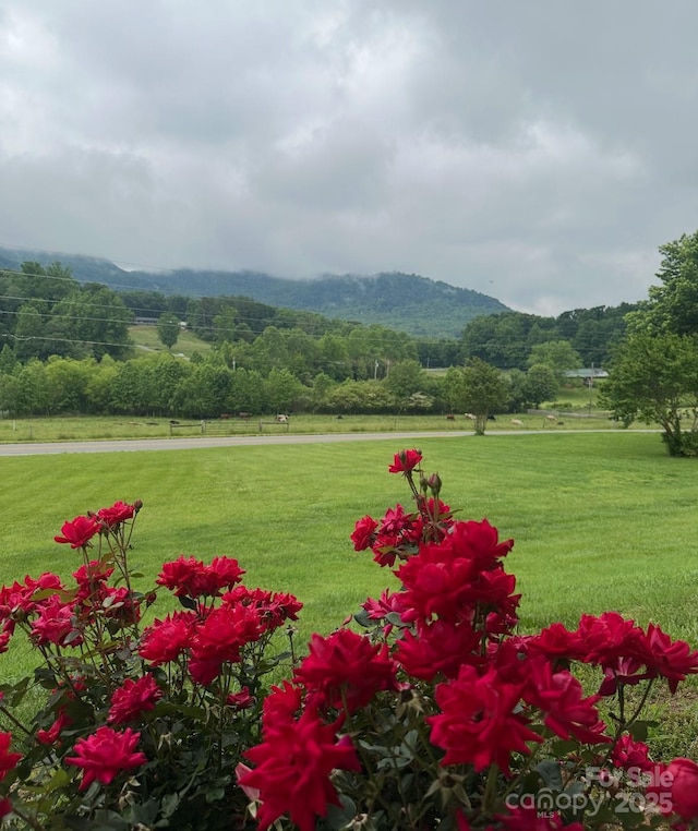 5158 Jenkins Rd, Morganton, NC 28655 - view of mountain backdrop