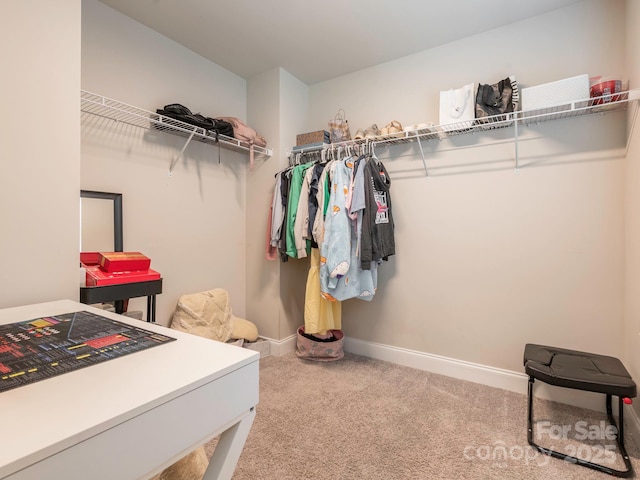 3227 Cape Fox Ct, Denver, NC 28037 - photo 40