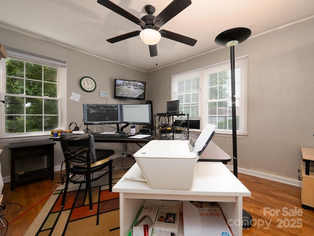 69 Katydid Dr, Marion, NC 28752 - office featuring wood finished floors, a ceiling fan, and ornamental molding