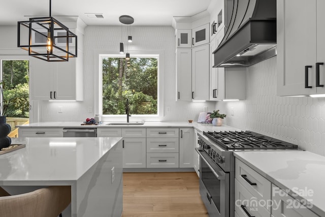 3937 Plainview Rd, Charlotte, NC 28208 - kitchen featuring appliances with stainless steel finishes, custom range hood, plenty of natural light, and light wood-type flooring