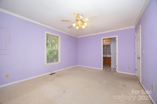 38367 Loblolly Ln, New London, NC 28127 - spare room featuring ceiling fan, ornamental molding, carpet floors, and a textured ceiling