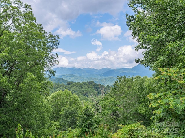 1411 Kitchens Branch Rd, Sylva, NC 28779 - view of mountain backdrop featuring a heavily wooded area