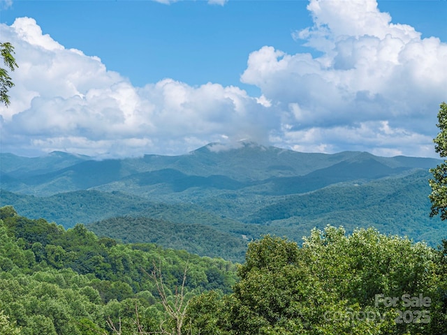 1411 Kitchens Branch Rd, Sylva, NC 28779 - mountain view featuring a heavily wooded area