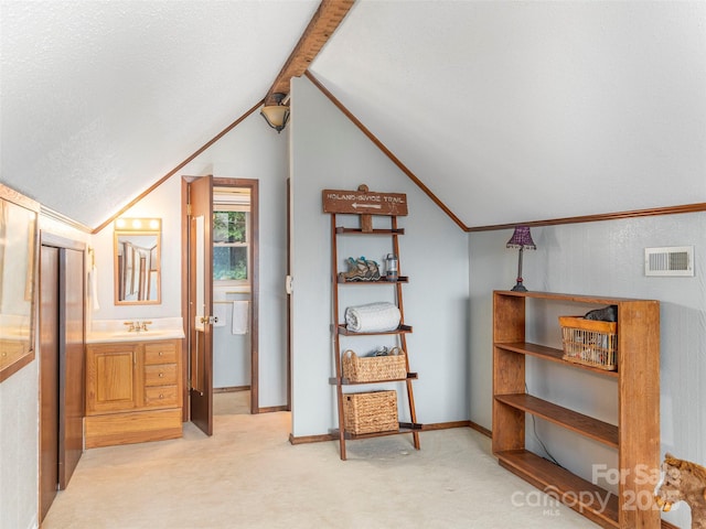 1411 Kitchens Branch Rd, Sylva, NC 28779 - bonus room featuring light carpet and vaulted ceiling