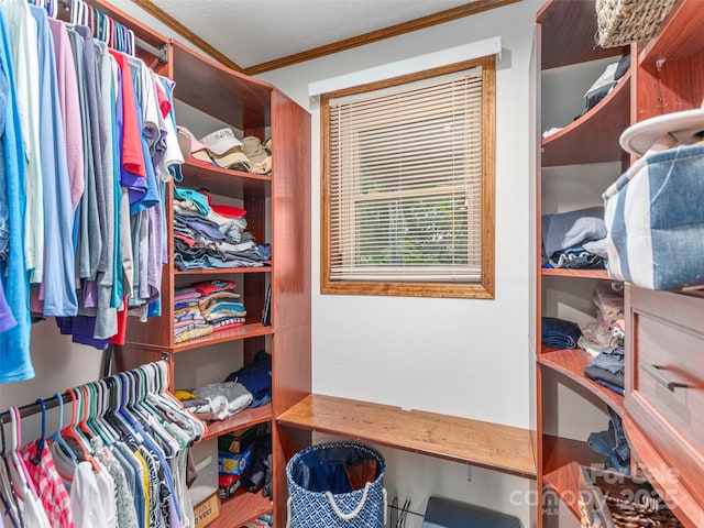 1411 Kitchens Branch Rd, Sylva, NC 28779 - view of spacious closet