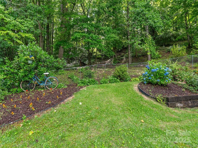 1411 Kitchens Branch Rd, Sylva, NC 28779 - view of yard