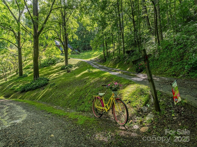 1411 Kitchens Branch Rd, Sylva, NC 28779 - surrounding community