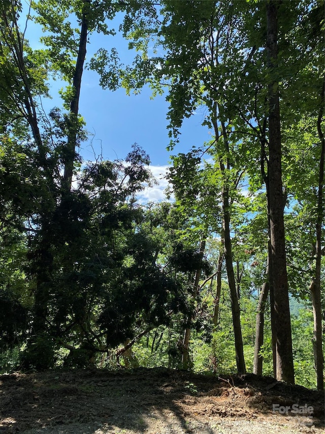 0 Ridgecrest Dr Unit 60, Lake Lure, NC 28746