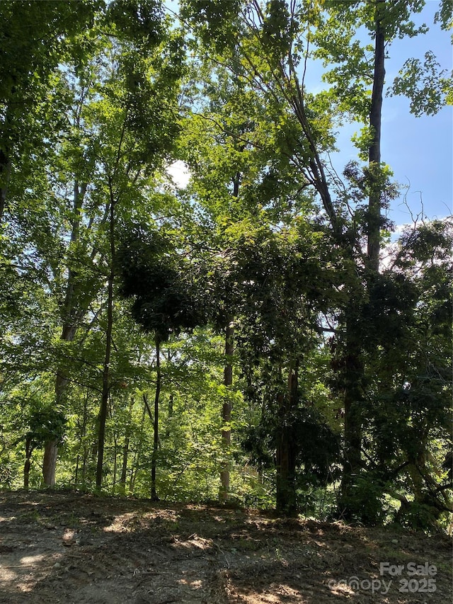 0 Ridgecrest Dr Unit 60, Lake Lure, NC 28746