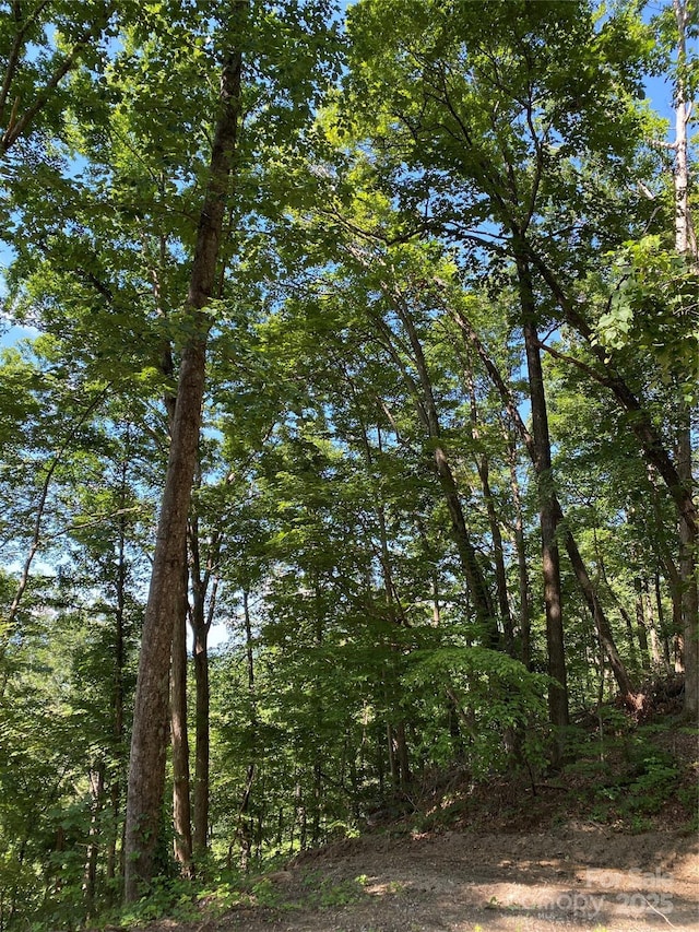 0 Ridgecrest Dr Unit 60, Lake Lure, NC 28746