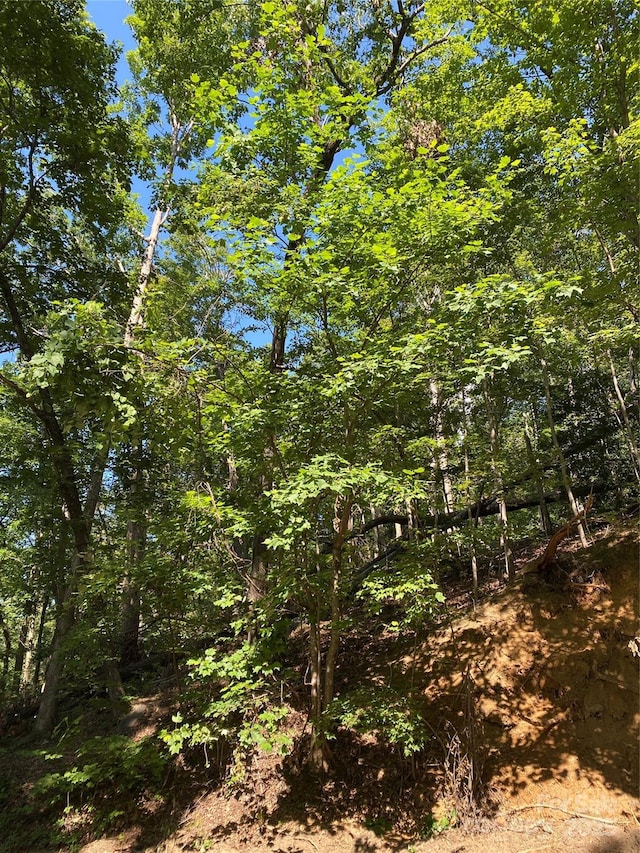 0 Ridgecrest Dr Unit 60, Lake Lure, NC 28746