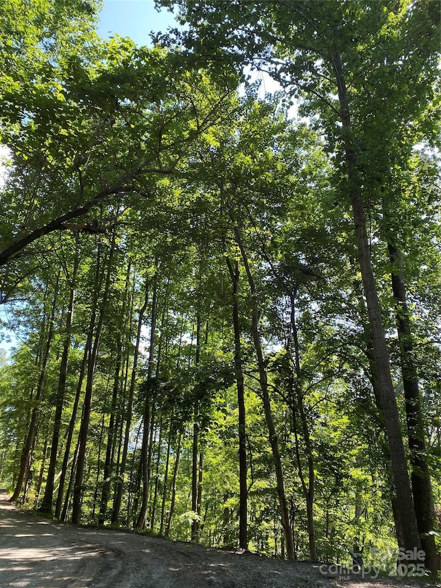 0 Ridgecrest Dr Unit 60, Lake Lure, NC 28746