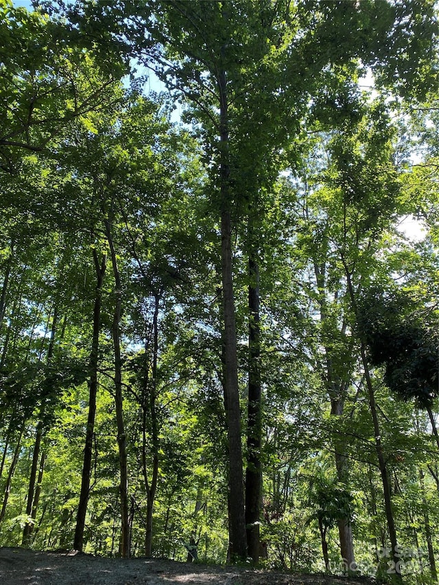 0 Ridgecrest Dr Unit 60, Lake Lure, NC 28746