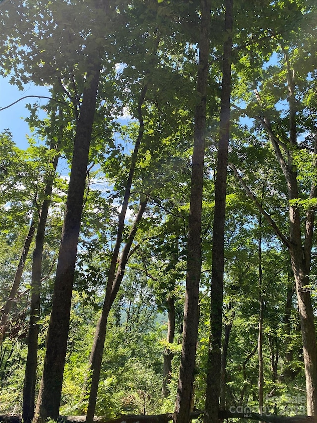 0 Ridgecrest Dr Unit 60, Lake Lure, NC 28746