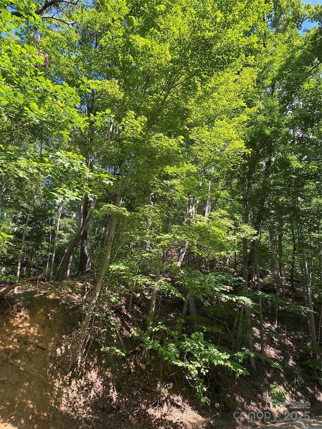 0 Ridgecrest Dr Unit 60, Lake Lure, NC 28746