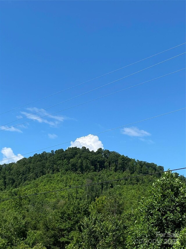 0 Ridgecrest Dr Unit 60, Lake Lure, NC 28746