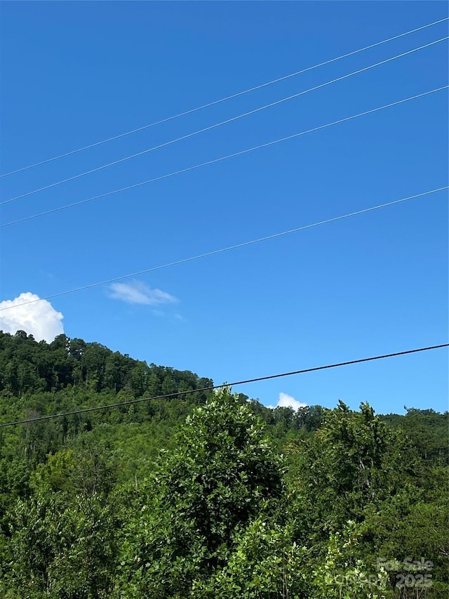 0 Ridgecrest Dr Unit 60, Lake Lure, NC 28746