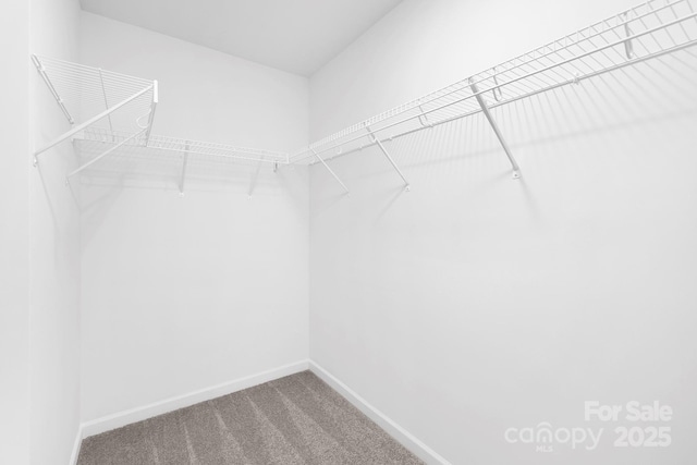 4474 Pebblebrook Cir SW, Concord, NC 28027 - spacious closet featuring carpet
