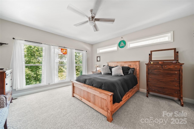 5870 Wood Duck Way, Catawba, NC 28609 - photo 24