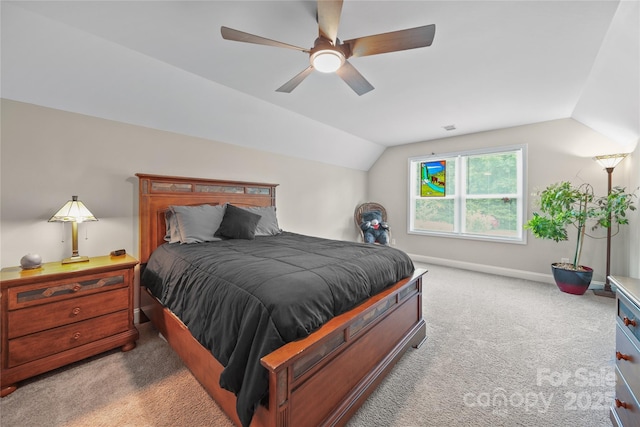 5870 Wood Duck Way, Catawba, NC 28609 - photo 36