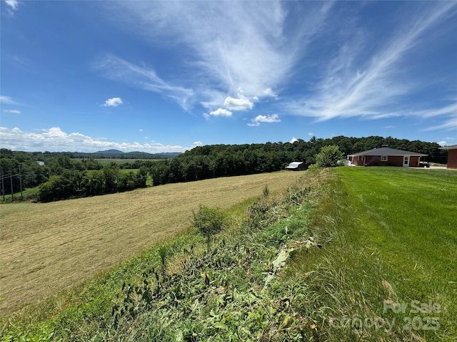 598 Miles View Dr, Mills River, NC 28759 - photo 5